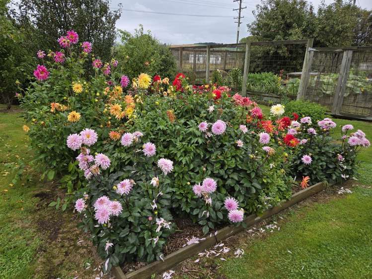 902 Lawrence Waitahuna Highway Waitahuna_12