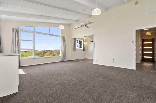 745 Peacockes Road Rukuhia_1