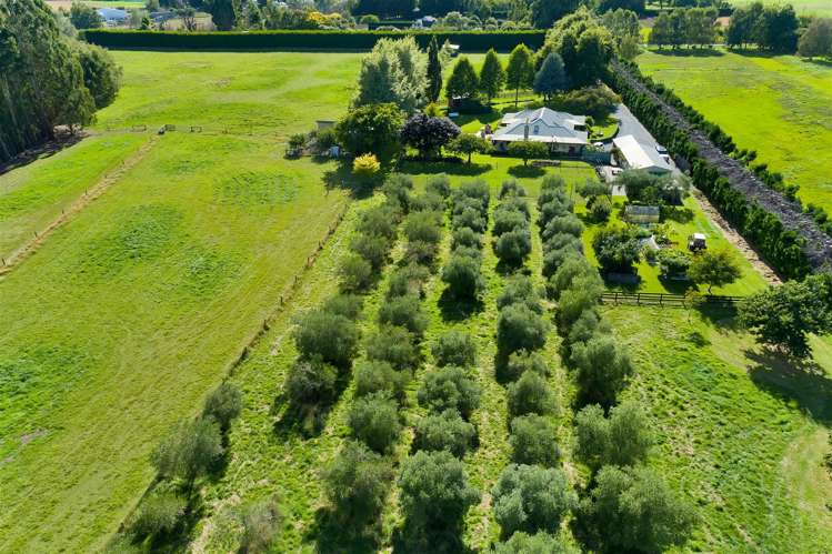 411 Heywards Road Clarkville_32