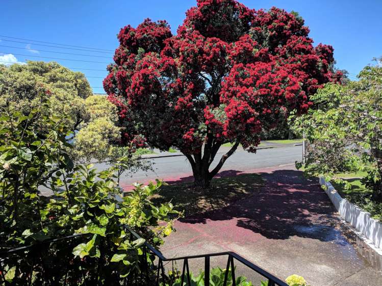 1/1 Rata Road Devonport_12