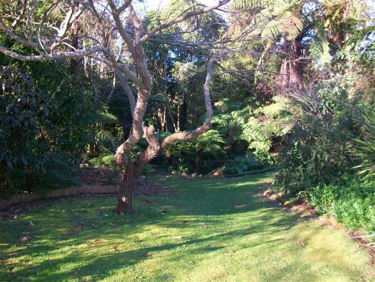 16 Poland Street Waikino_20