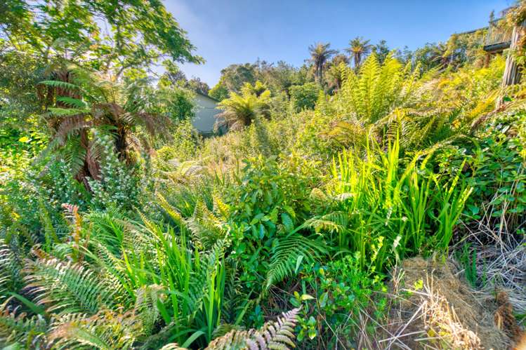 2166 Arnold Valley Road Moana_41