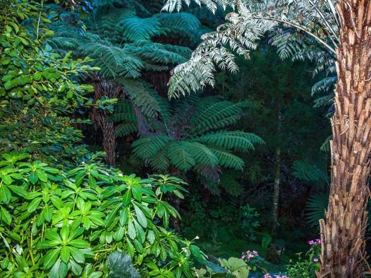 36 Rewa Rewa Vall Tairua_17