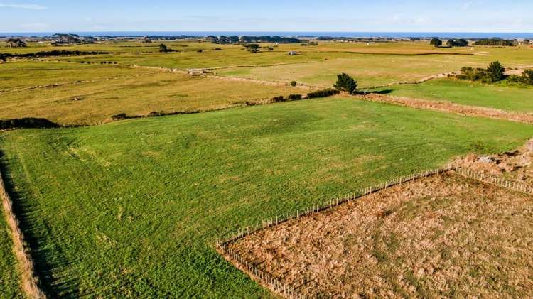 Eltham Road, Te Kiri Opunake_15