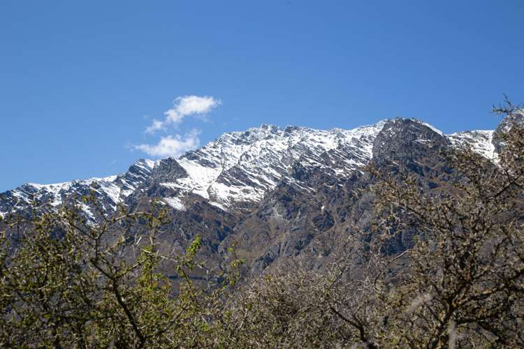 46 Orford Drive Jacks Point_13