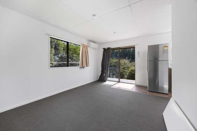 15 Sutherland Street Dunedin Central_2