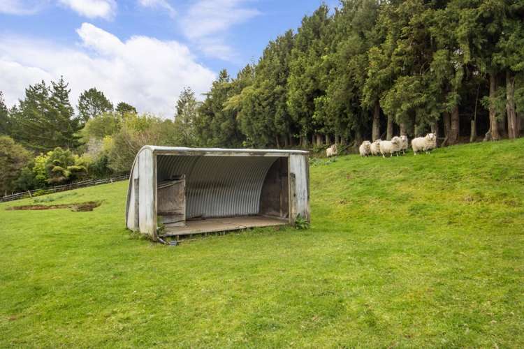 397 Busby Road Hauraki Surrounds_22