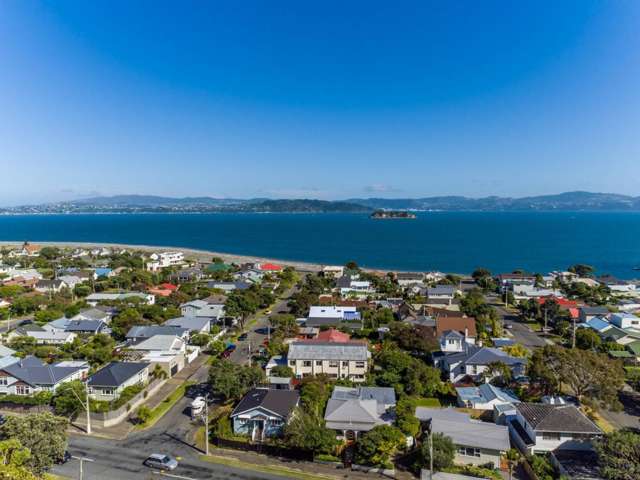 325a Muritai Road Eastbourne_3