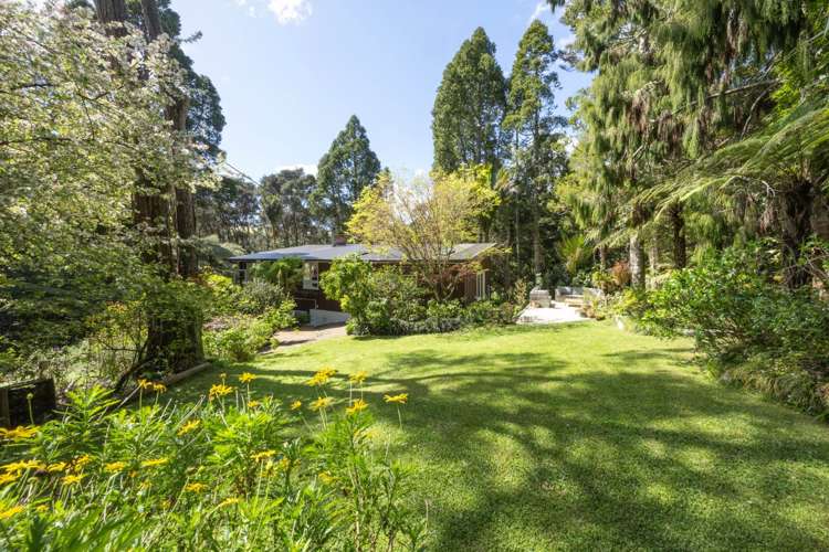 180 Atkinson Road Titirangi_19