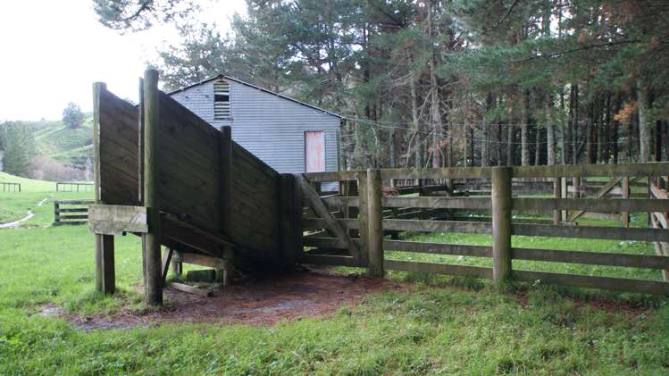 4501 State Highway 4 Waimiha-Ongarue_14