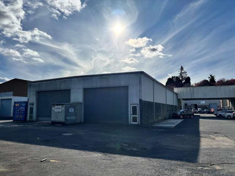 102 Birch Avenue Judea_9