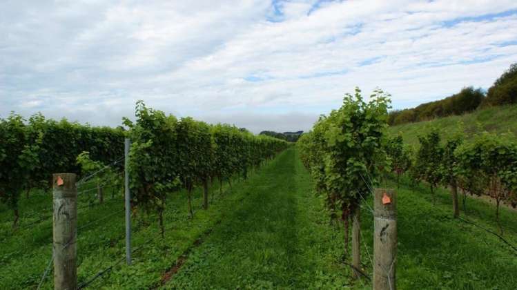 483 Dartmoor Road Puketapu_5