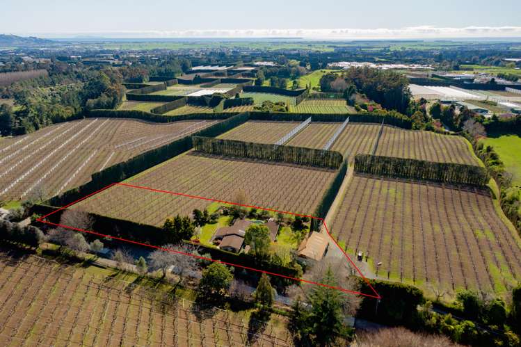 26 Cheetham Avenue Te Puke_18