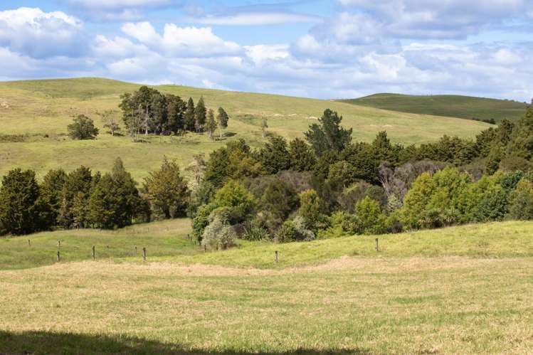 264 Okokako Road Kerikeri_23