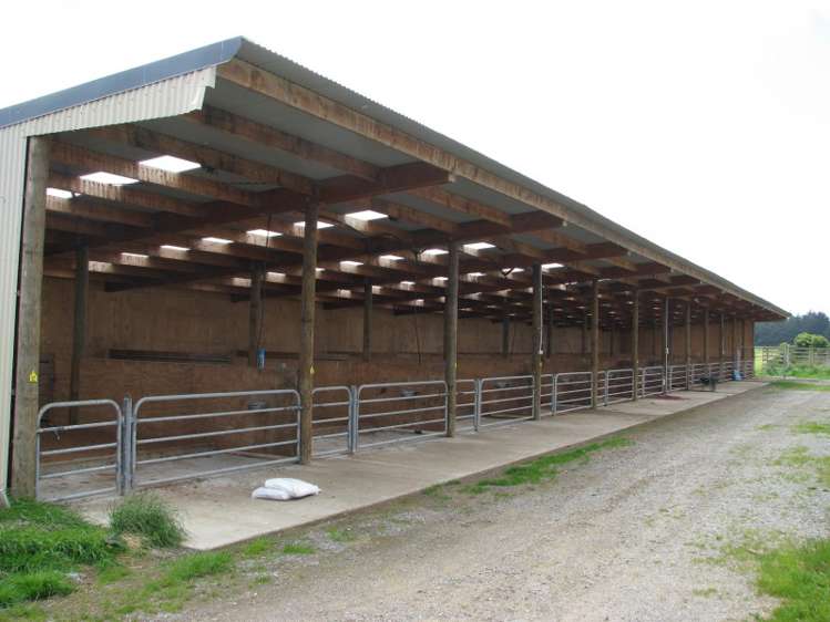 259 Teviotdale Road Otautau_7