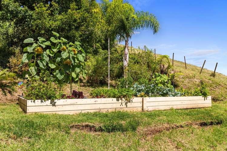 39 Corbett Drive Te Puna_15