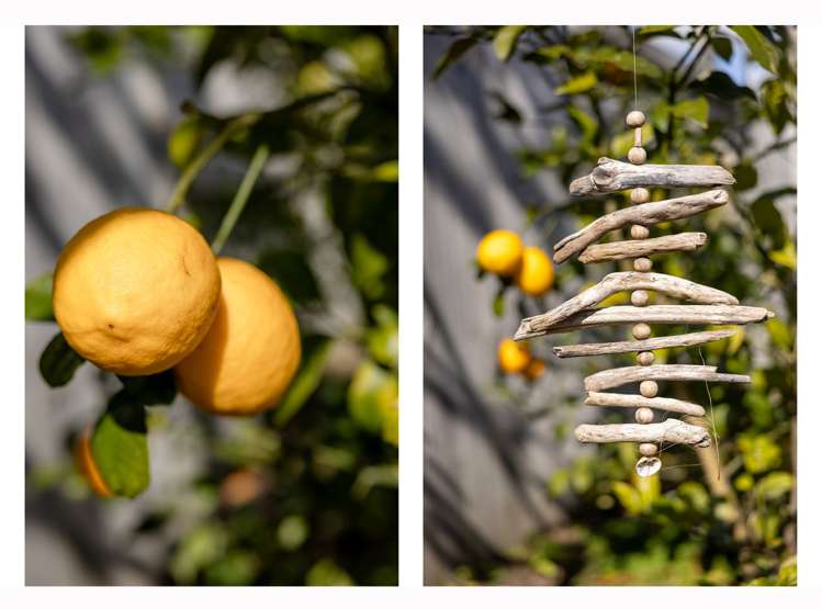 4 Dunkeld Drive Papamoa_14