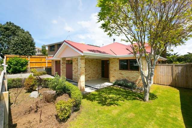 314 Tukapa Street Hurdon_1