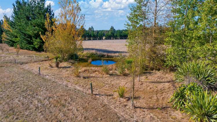 604 Downs Road West Eyreton_23