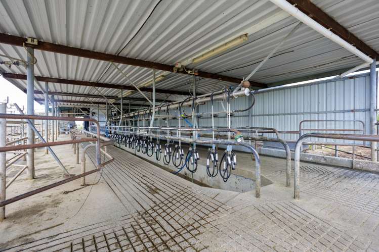 104 Pioneer Road Tahuna_15