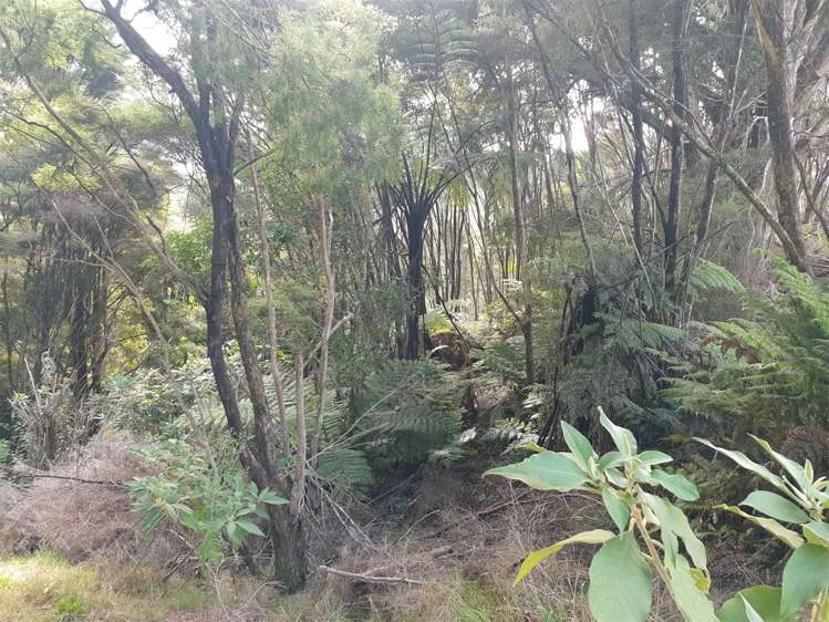 263 Fisher-Riley Road Kaitaia_17