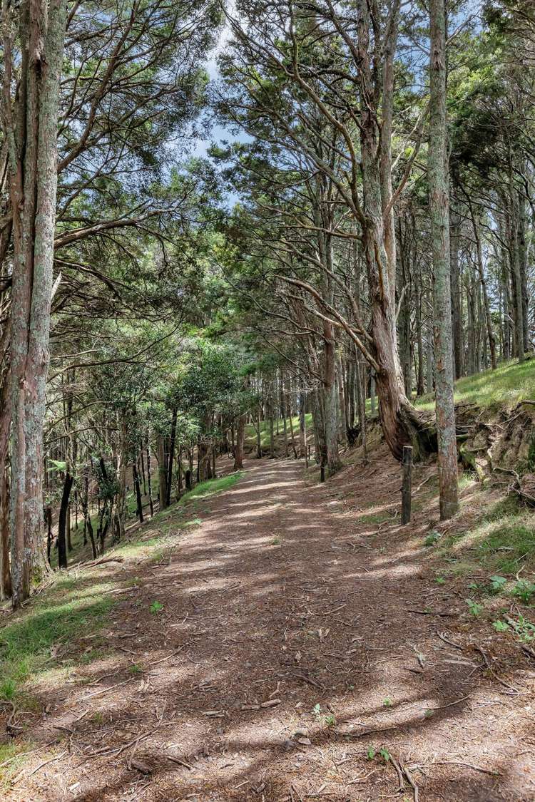 Pipiwai Road Purua_5