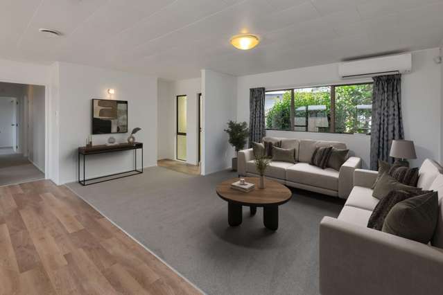 114 Paramount Parade Tikipunga_4