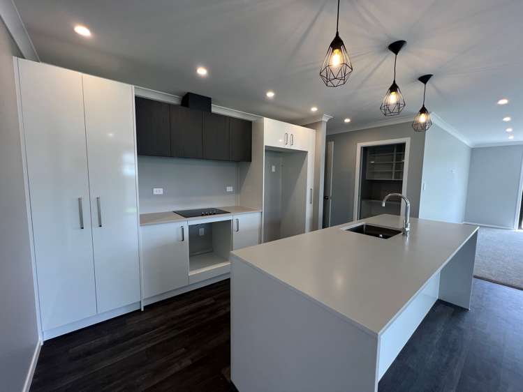 10 Sanson Place Levin_8