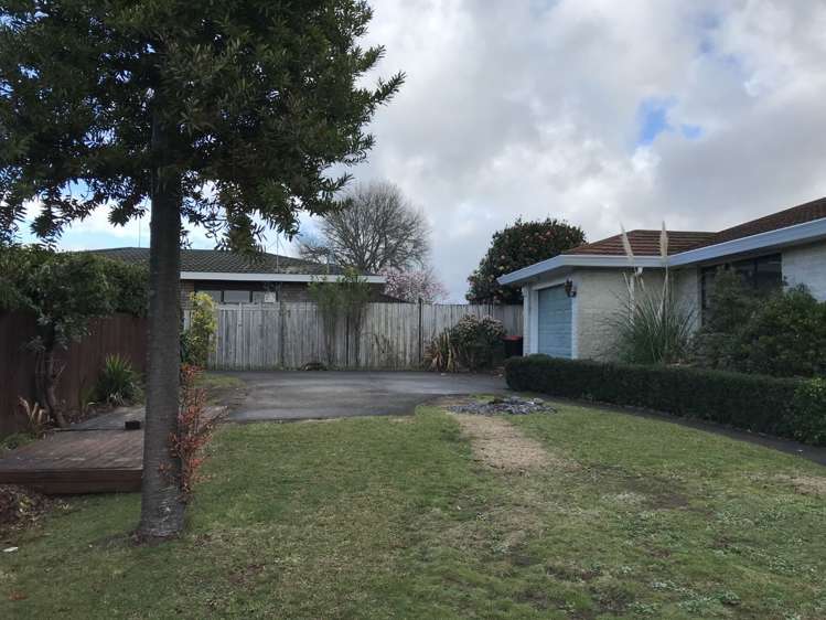 41 Heron Avenue Matua_12