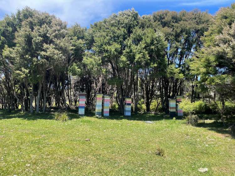 Lot 32 Kaitoke Lane Great Barrier Island_10