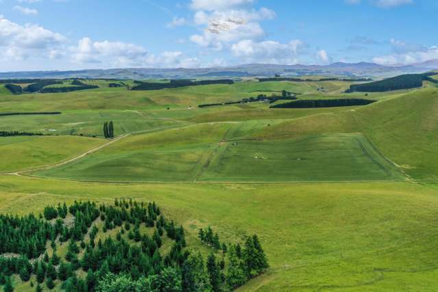 70 Finlay's Road Windsor_4