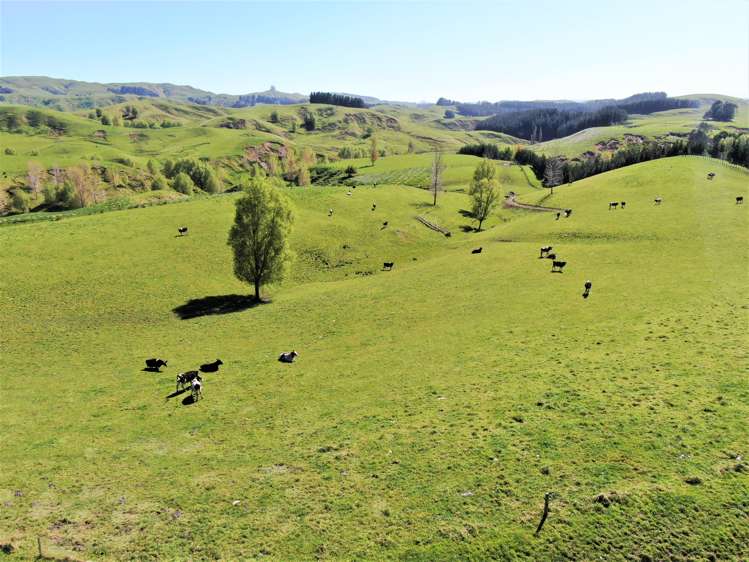 338 Te Awa Road Hawkes Bay_4