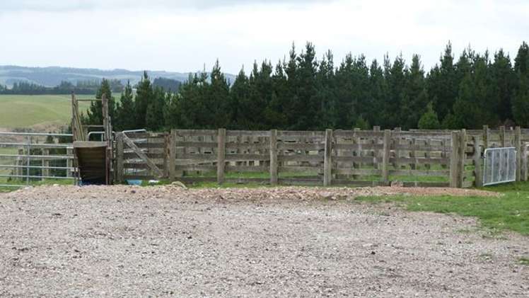 188 Homestead Road Clinton and Surrounds_7