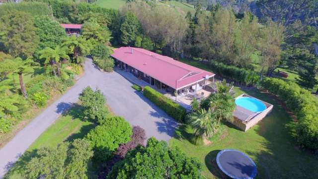 424 Wainui South Road Whakamarama_3