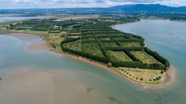 405-419 Matahui Road Aongatete_2