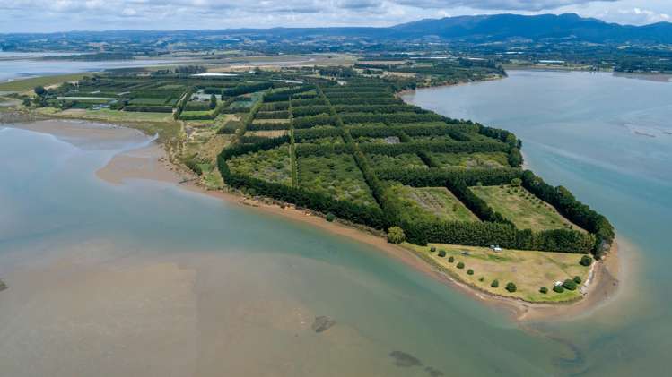 405-419 Matahui Road Aongatete_2