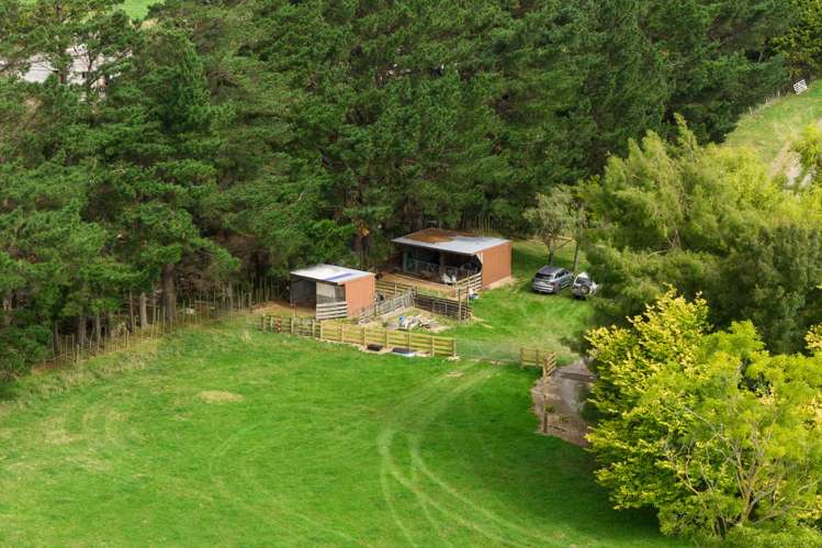 815 Reid Line East Bunnythorpe_12