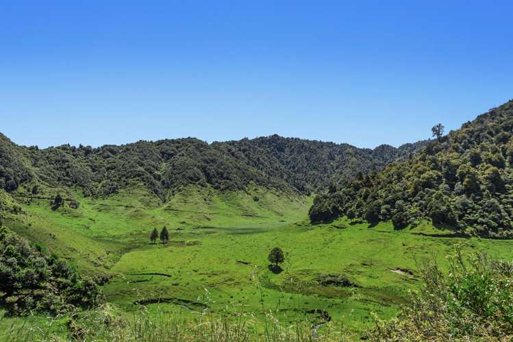 2060 Motu Road Opotiki_20