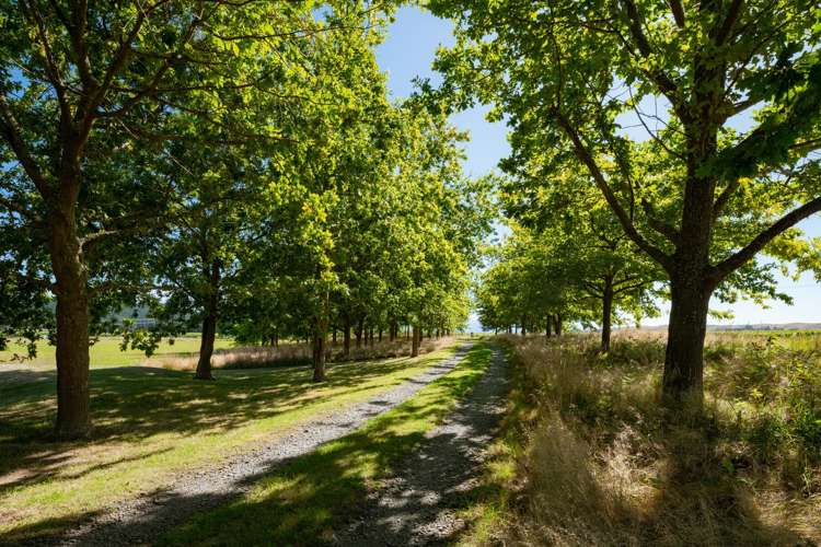 28 Tyntesfield Road Waihopai Valley_12