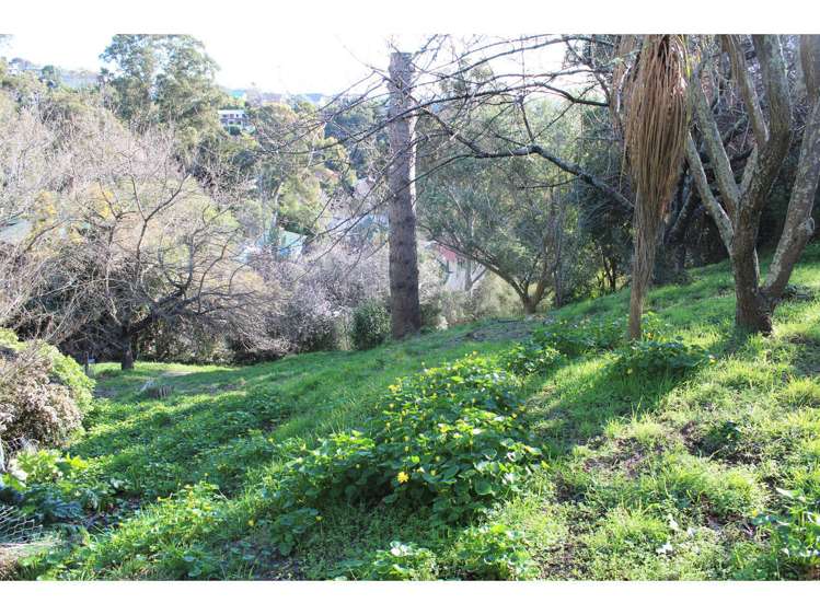 13 Garth Terrace Cashmere_2