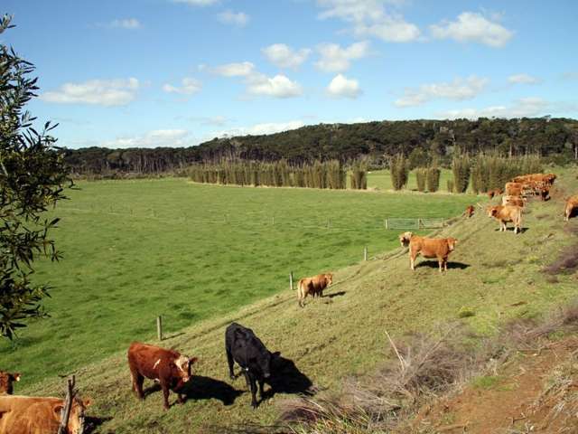 177 Burnage Road Pukenui_3