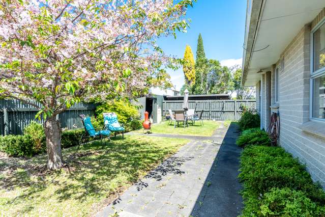 80c Te Mata Road Havelock North_1