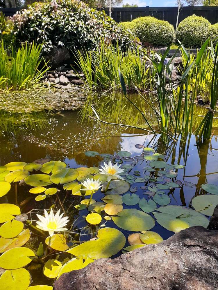 41b Kendall Road Kerikeri_22