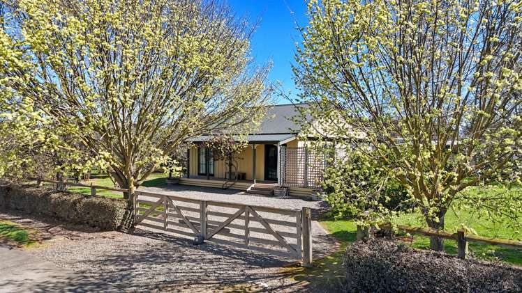 7 Redwood Lane Martinborough_22