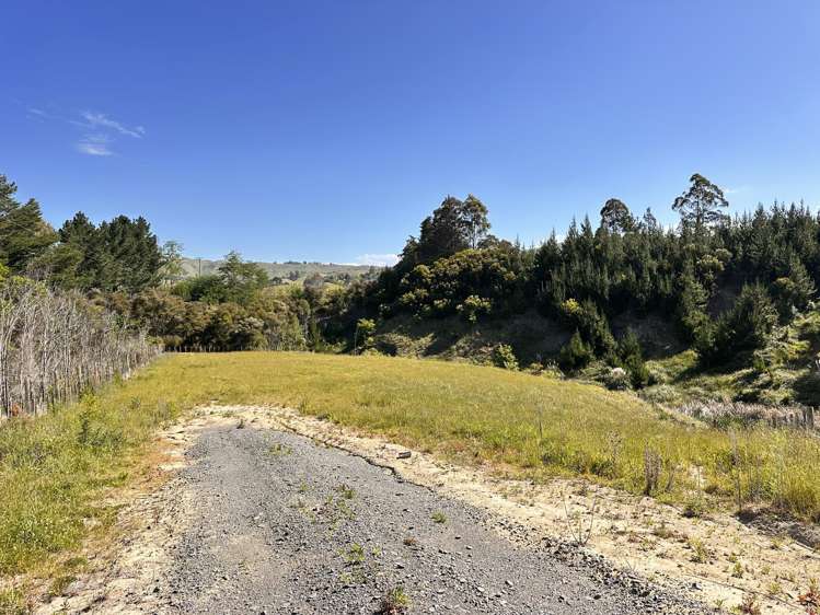 498 Seafield Road Puketapu_6