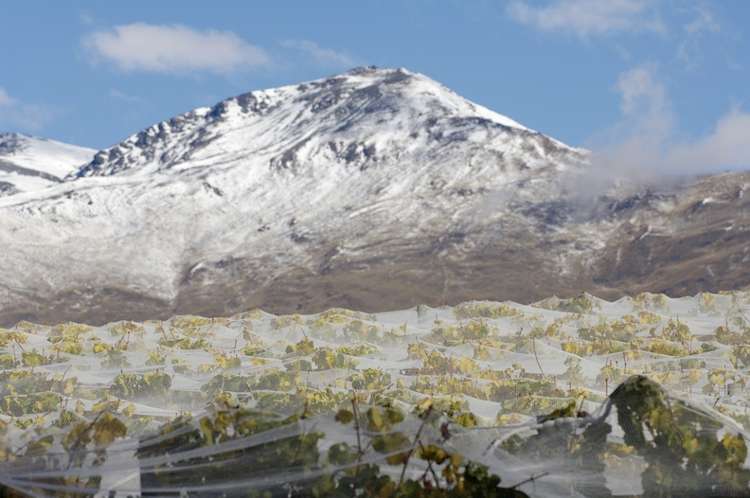 Gibbston Highway Gibbston_7