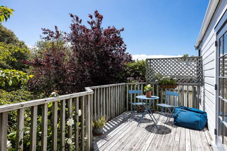 35 Brownville Crescent Maori Hill_4