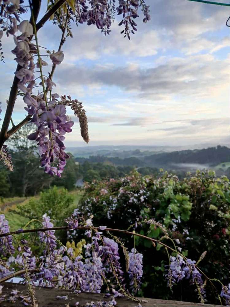 945 Springfield Road Springfield_18