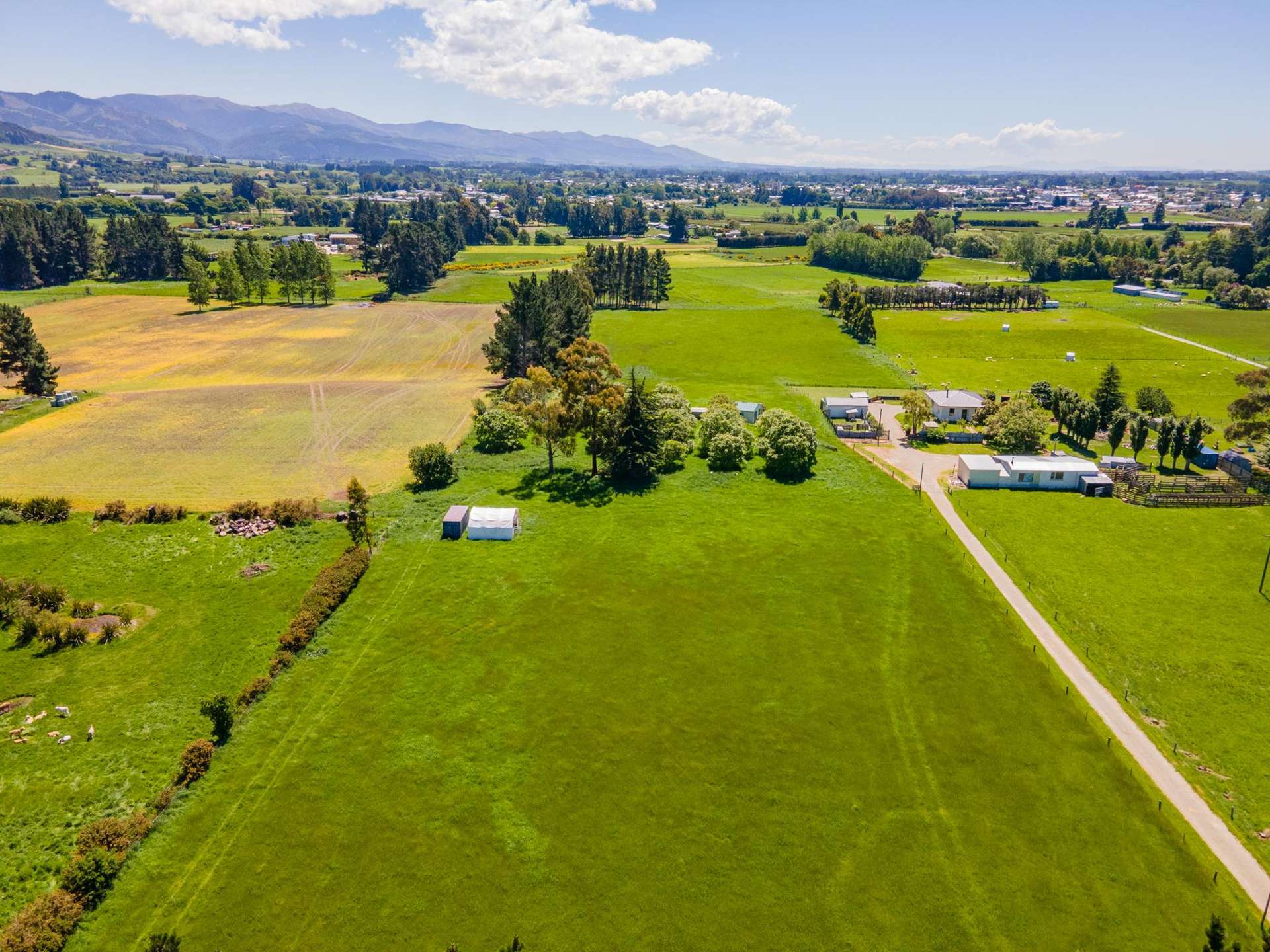 54 Studholme Settlement Road Waimate_0