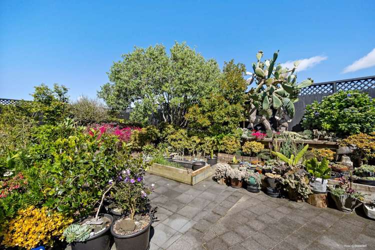 6 Parkside Road West Harbour_21